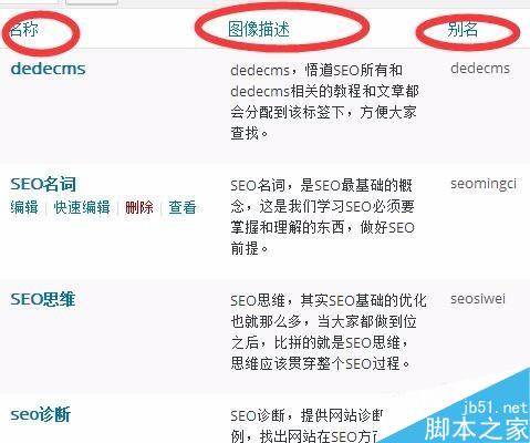 wordpress標(biāo)簽如何使用
