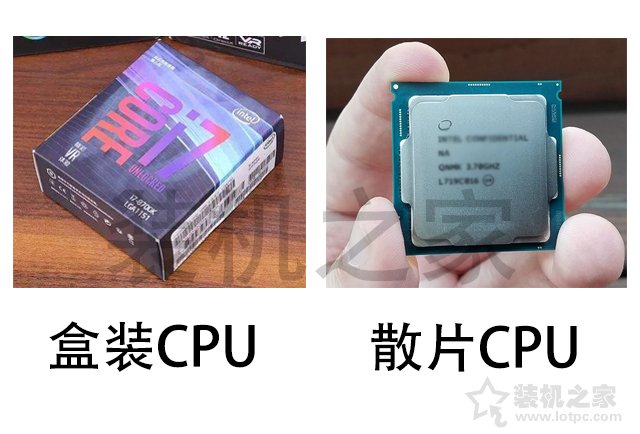 intel中文盒裝和英文盒裝、散片CPU的區(qū)別對比科普 裝機值得一看！
