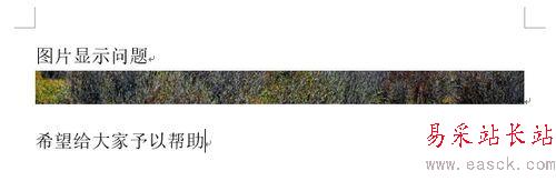 Word2013圖片顯示不全怎么辦？Word2013圖片顯示不全的方法