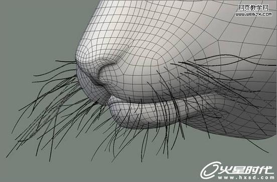 3dsmax繪制毛色亮麗視覺沖擊感強(qiáng)的3D老虎-Vevb.com